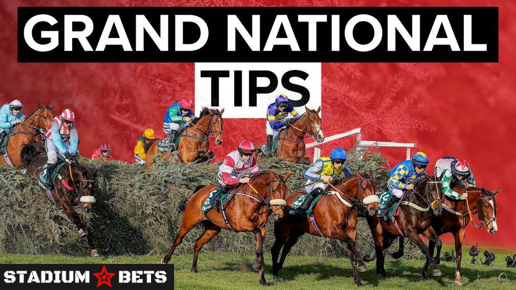 grand national tips